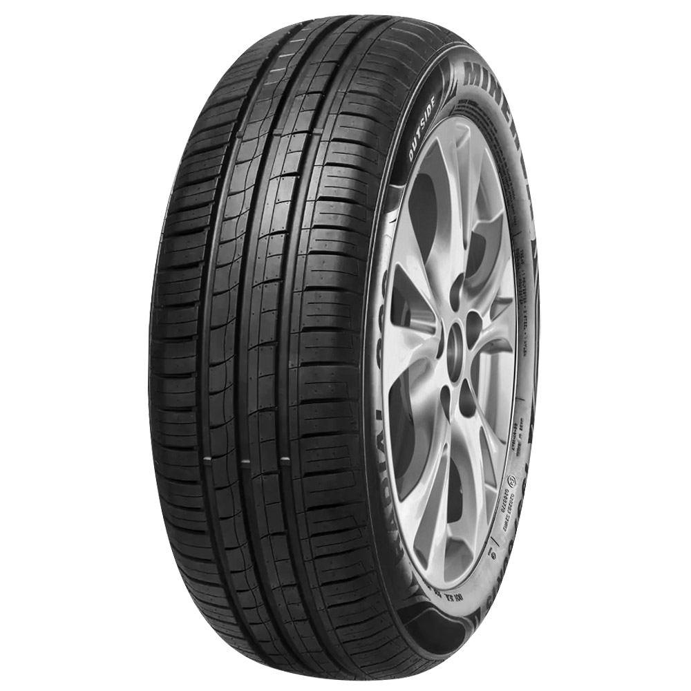 Pneu Minerva Aro 15 F209 195/55R15 85V
